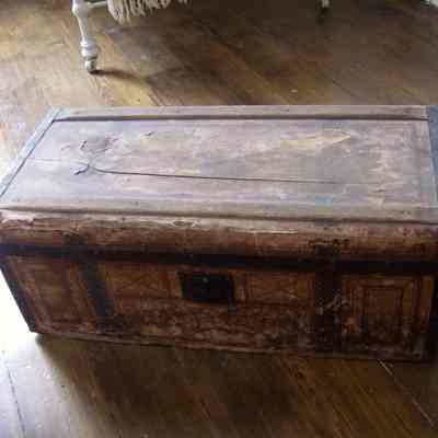 Trunk