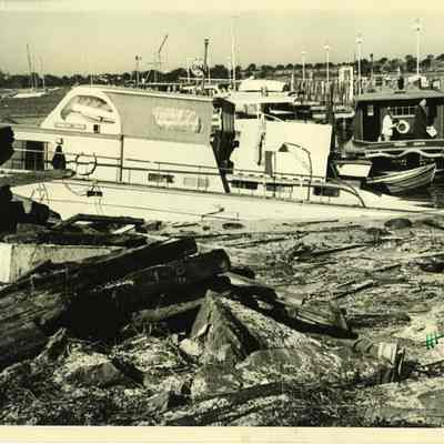Pleasure boats at marina