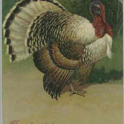 Thanksgiving Greetings