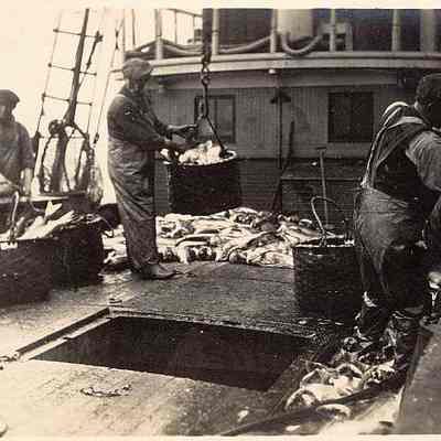 On board fishing vessel "Gifford"