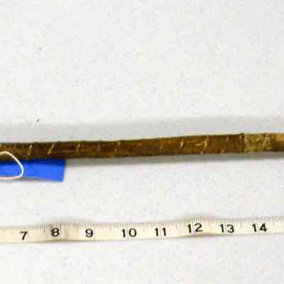 Ceremonial object or weapon