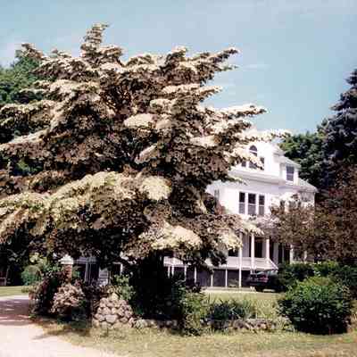166 Elm Street, Bella Vista