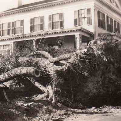 1938 Hurricane