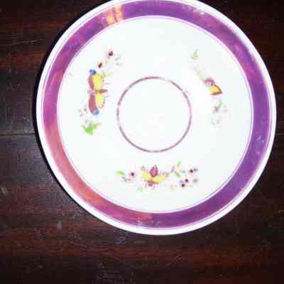 Saucer