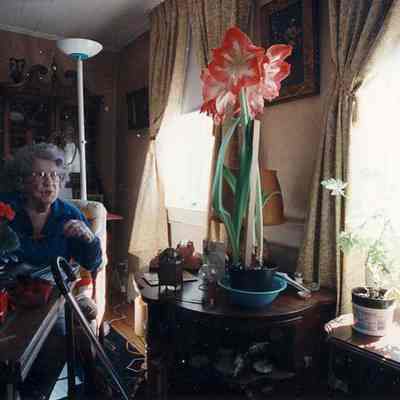 Dorothea Hewitt Gould collection