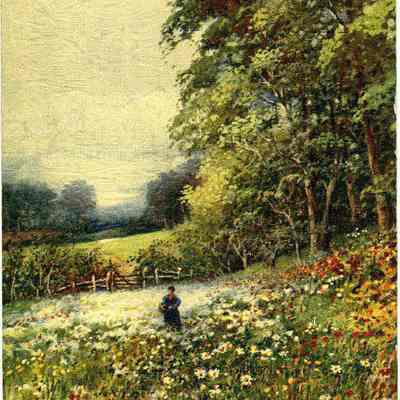 Postcard
