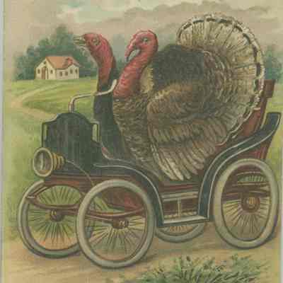 Thanksgiving Greetings