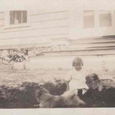 Print, Photographic