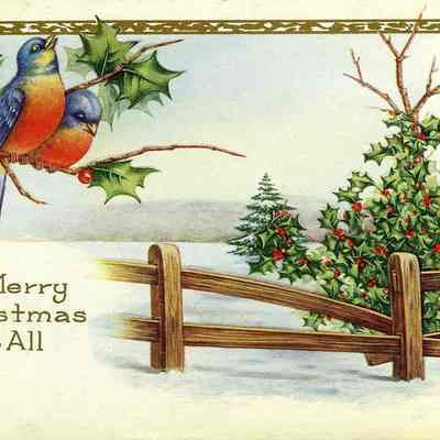 Postcard