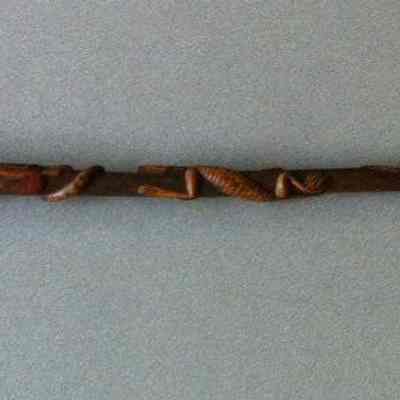 Cane