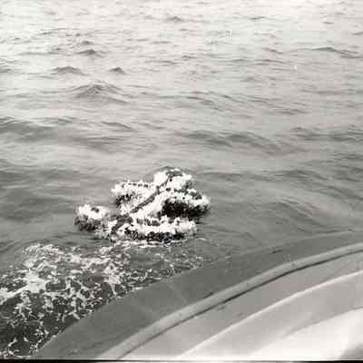 Floral Memorial in water