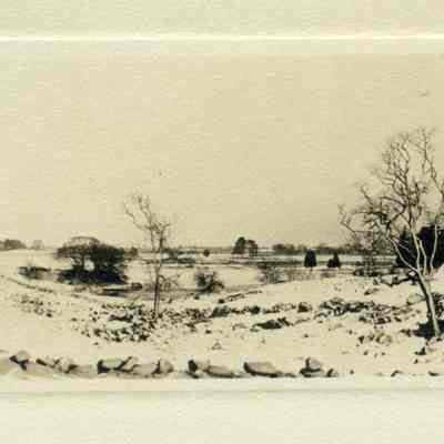 Print, Photographic