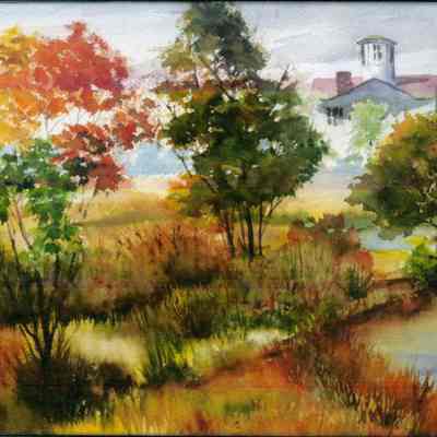 Pine Point