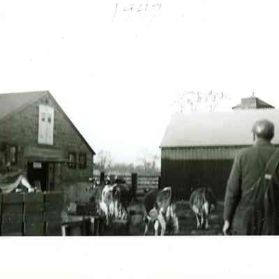 Print, Photographic
