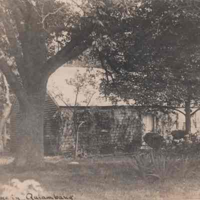 Print, Photographic
