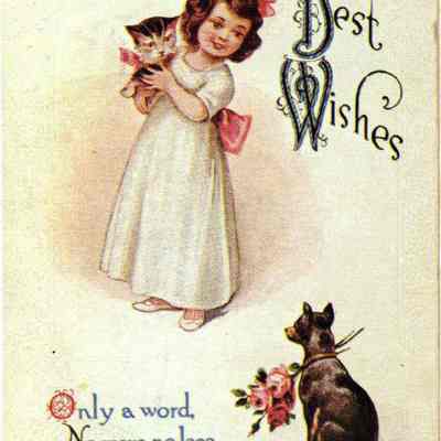 Postcard