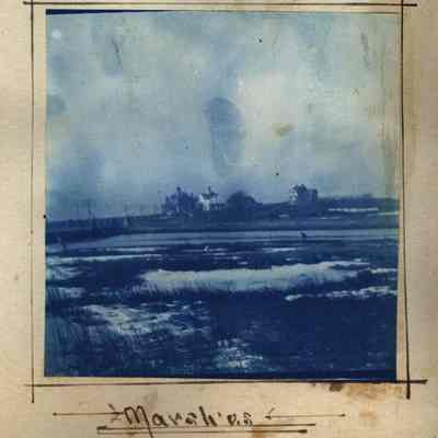 Marshes
