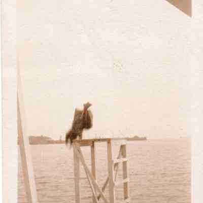 Bessie Loper diving