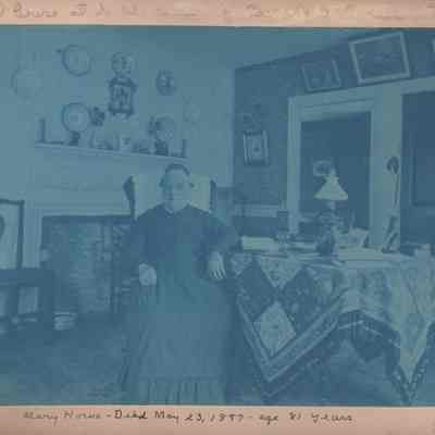 Cyanotype Album of Stonington Borough