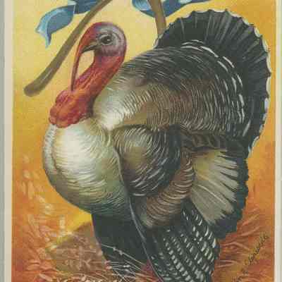 May you see many glad Thanksgiving Days