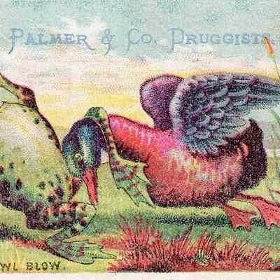 Palmer & Co. Trade Card