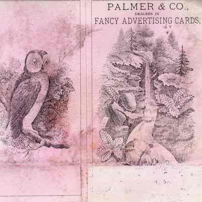 Palmer & Co. Trade Card