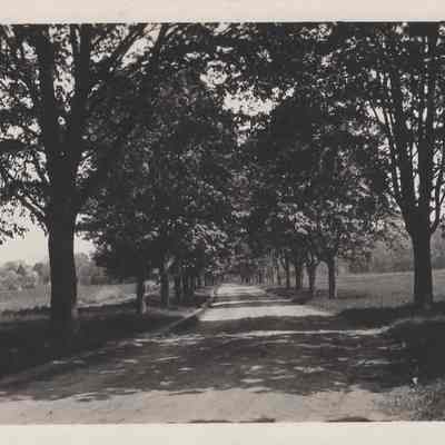 Postcard