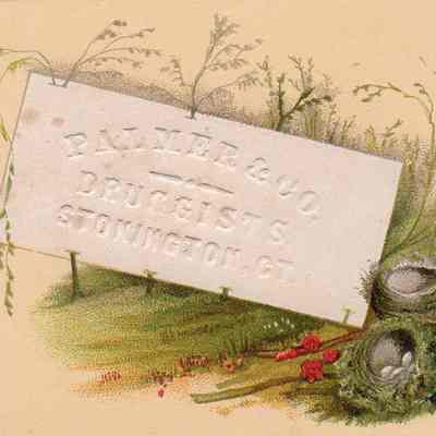 Palmer & Co. Trade Card