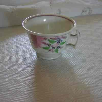 Cup