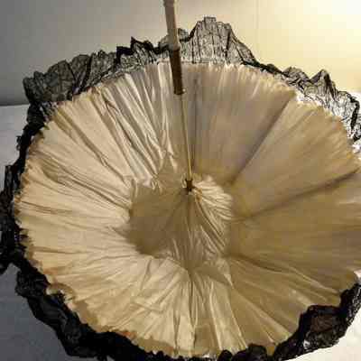 Parasol