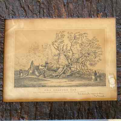 Lithograph