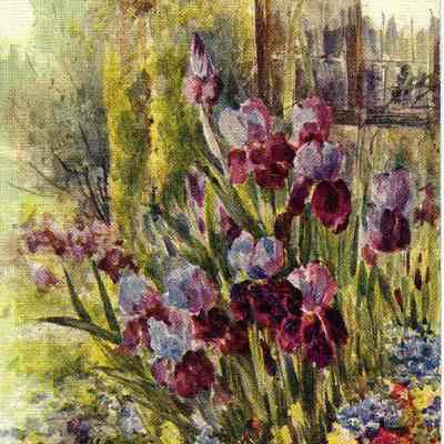 Postcard