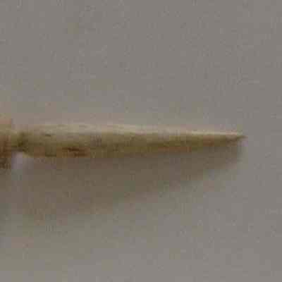 Fid