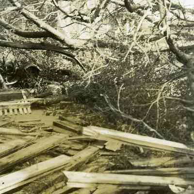 House behind piles of debris and trees