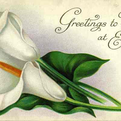 Postcard