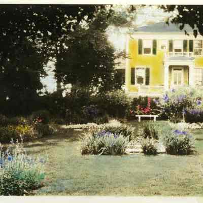 Print, Photographic
