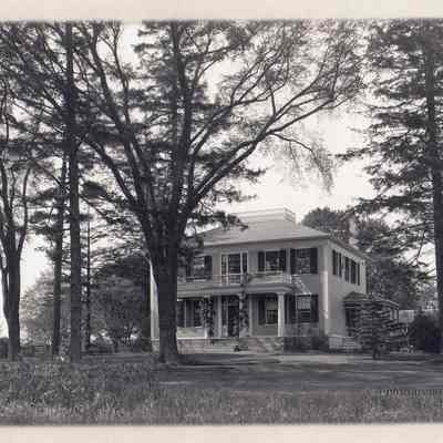 Print, Photographic
