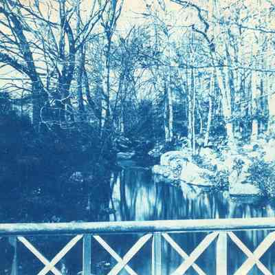 Manor Inn Pond