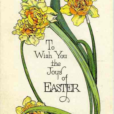 Postcard