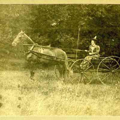 Print, Photographic