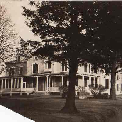 Cove Lawn