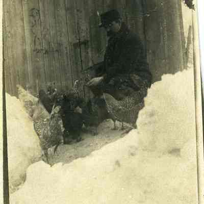 Elisha Feeding the Chickens