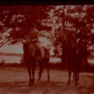 People on horses