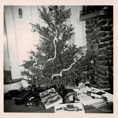 Christmas at 101 Main Street
