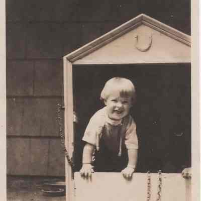 Print, Photographic