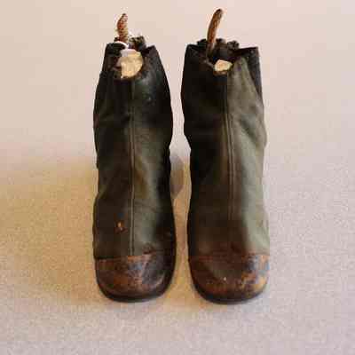 Shoe