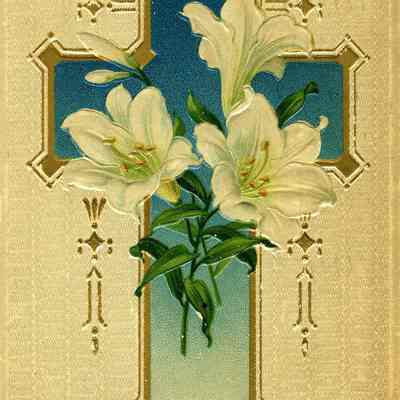 Postcard