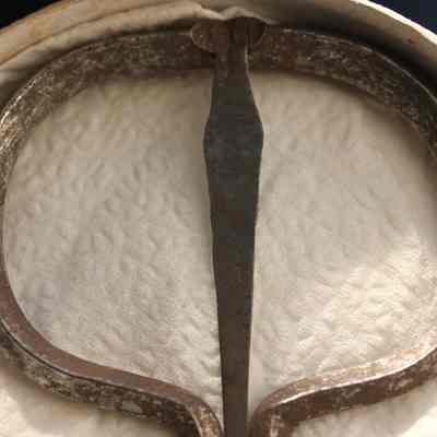 Harp, Jaw