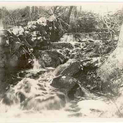 Fast moving brook or stream