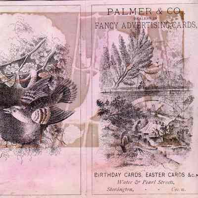 Palmer & Co. Trade Card